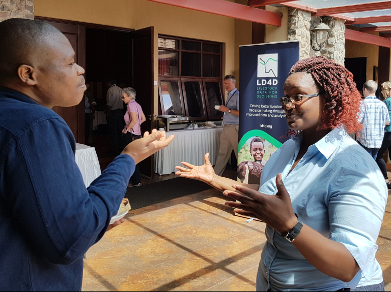 Making connections; building community