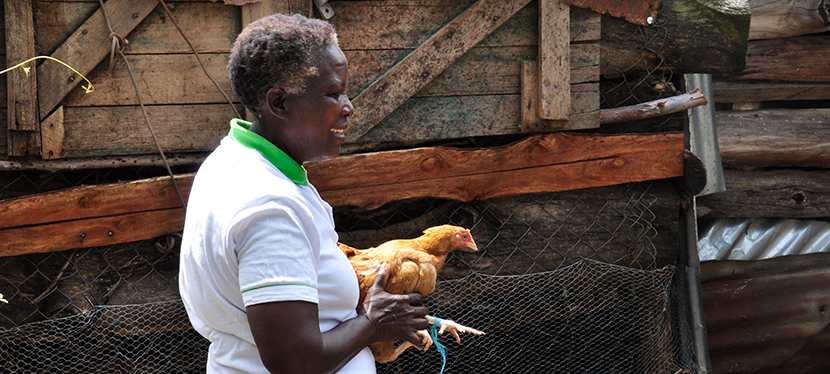 Header photo credit: S. Kilungu (CCAFS)