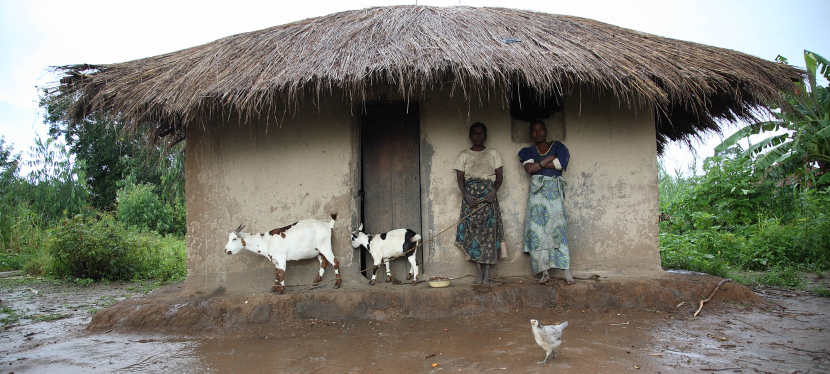 Malawi household