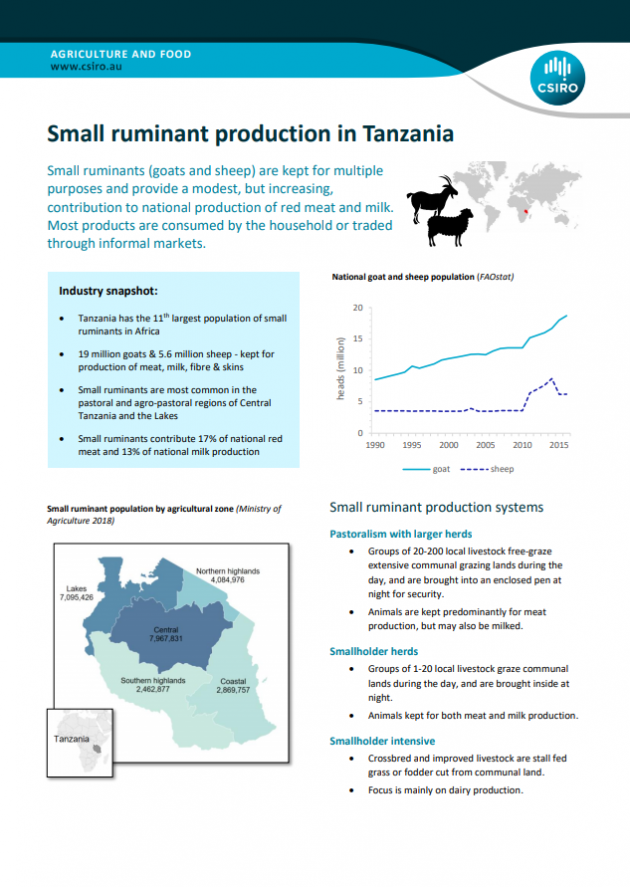 Small ruminant production in Tanzania