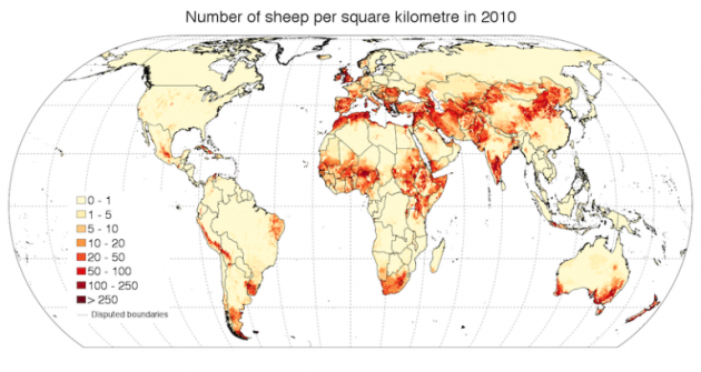 Sheep population map